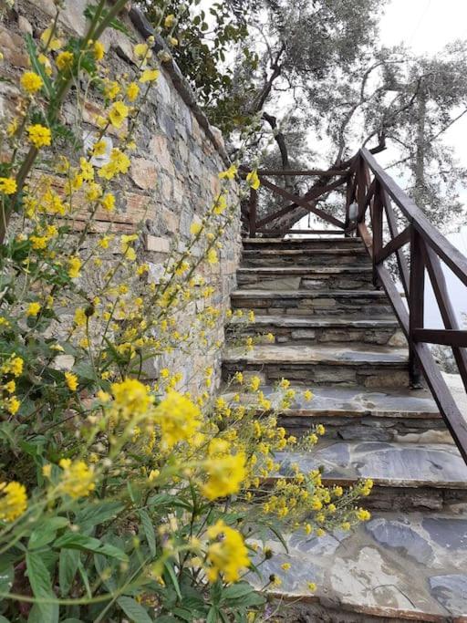Limnionas Sunview Villa Xorychti Exterior photo